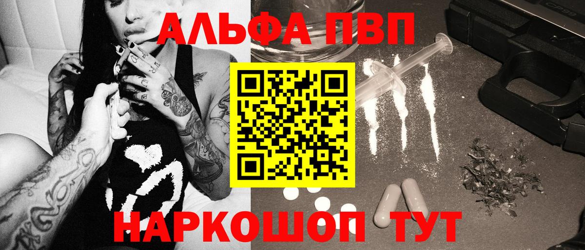 Alfa_PVP СК КРИС Карабулак