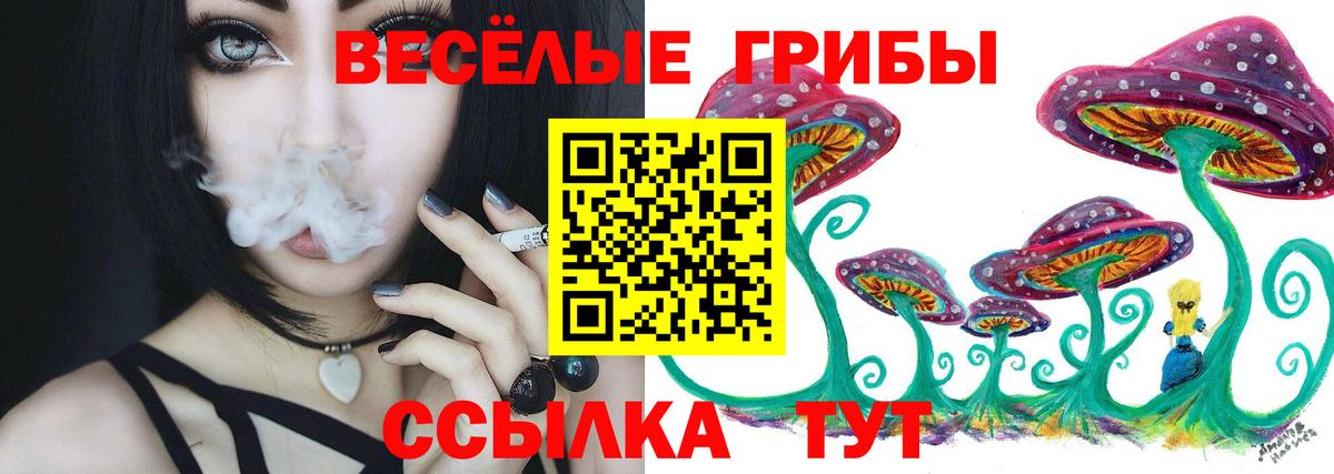 Псилоцибиновые грибы MAGIC MUSHROOMS Карабулак